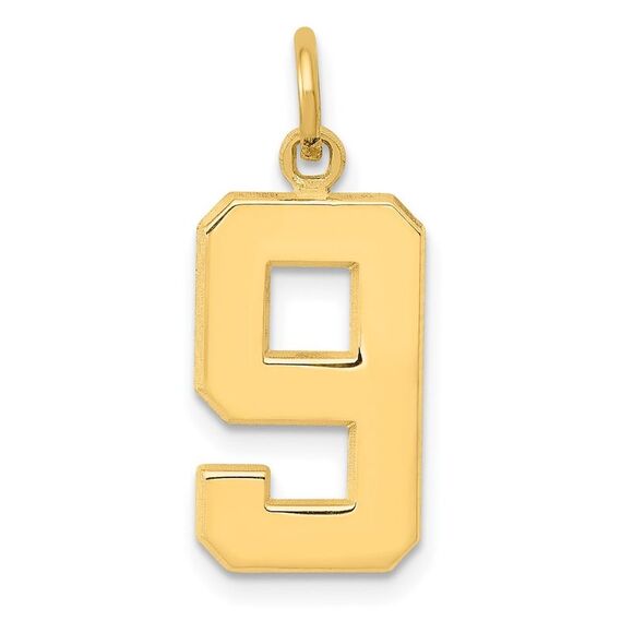 14k Yellow Gold, Athletic Collection Medium Polished Number 9 Pendant - Picture 1 of 5